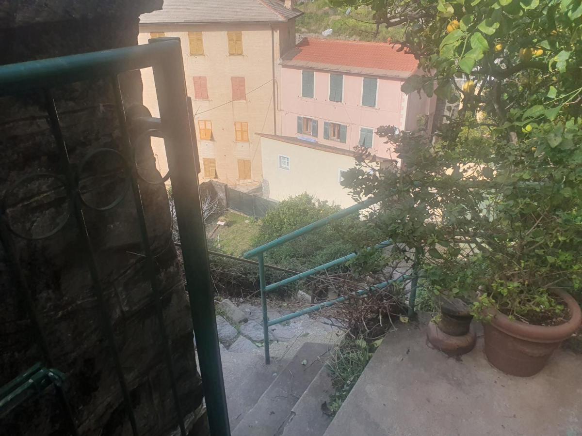 Monterosso Apartments In Servano'S Villas Monterosso al Mare Exteriör bild