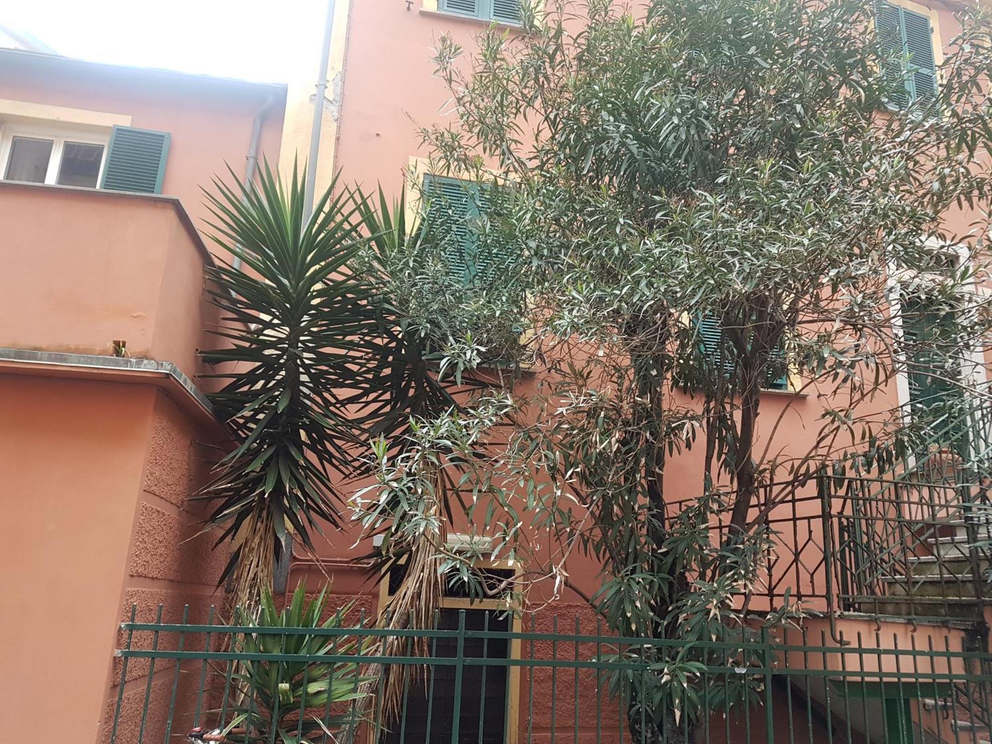 Monterosso Apartments In Servano'S Villas Monterosso al Mare Exteriör bild